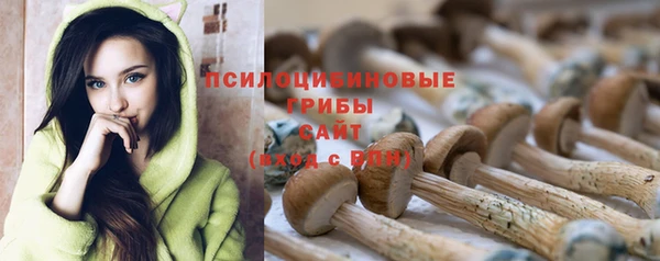 марки nbome Алзамай
