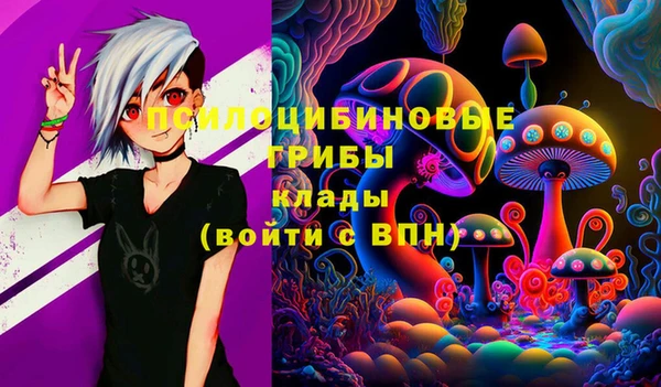 герыч Алексин