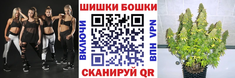 Бошки марихуана планчик  продажа наркотиков  Хвалынск 